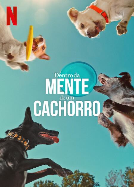 Banner do filme Dentro da Mente de um Cachorro